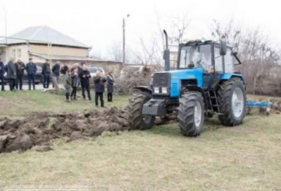 Marneulidə bu il kartof istehsalında ciddi artım gözlənilir