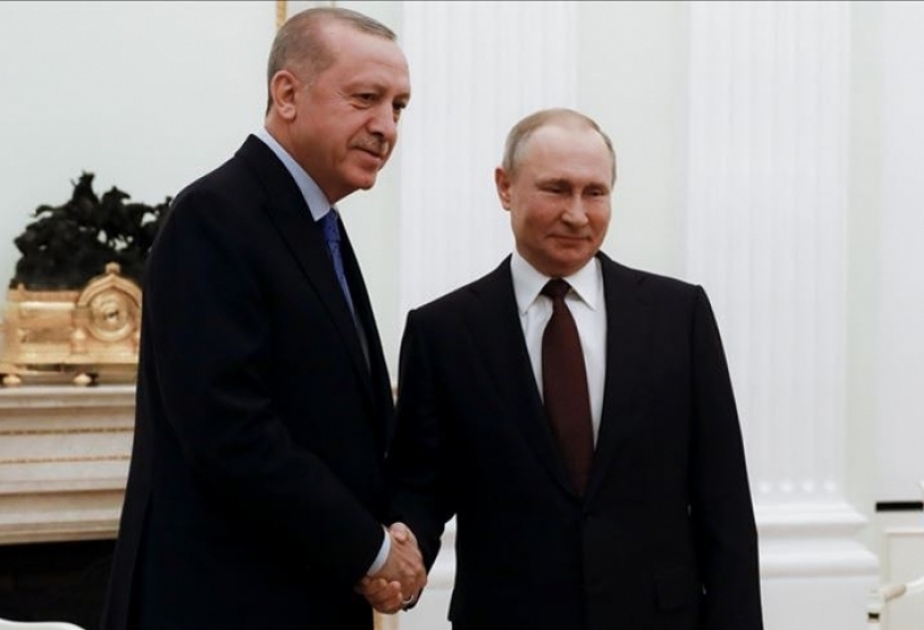 俄罗斯与土耳其两国总统通电话