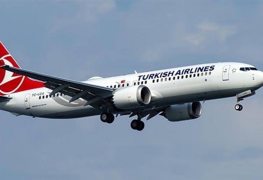 Turkish Airlines extends flight suspension due to virus
