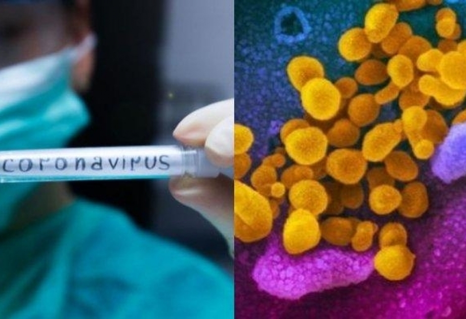 Record number of new coronavirus cases reported globally in past 24 hours