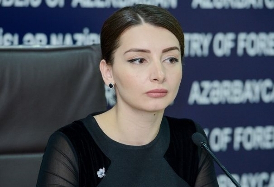 Leyla Abdullayeva: The fact that the aggressor country speaks about peace in its statements is the highest degree of hypocrisy - AZERTAC - Azerbaijan State News Agency