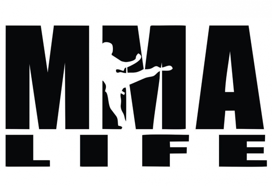 Как стать чемпионом UFC
