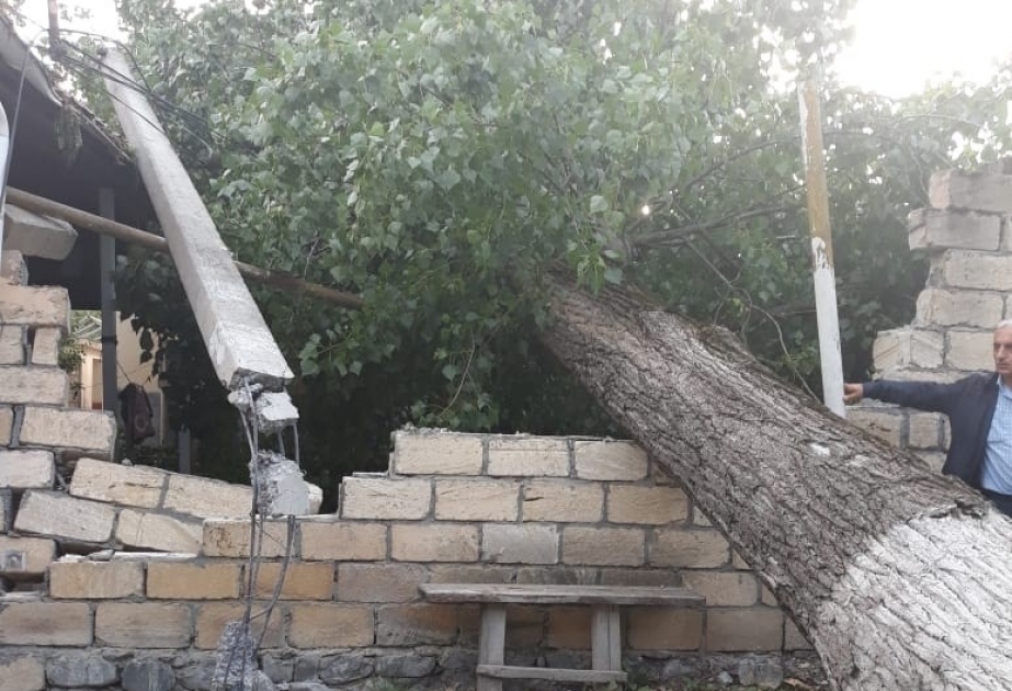Güclü külək bəzi rayonlarda elektrik enerjisi təsərrüfatına ciddi ziyan vurub