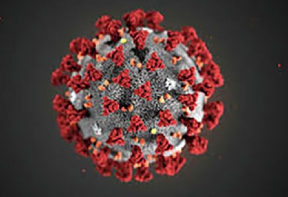 Роспотребнадзор планирует онлайн-консультации по борьбе с коронавирусом для стран СНГ