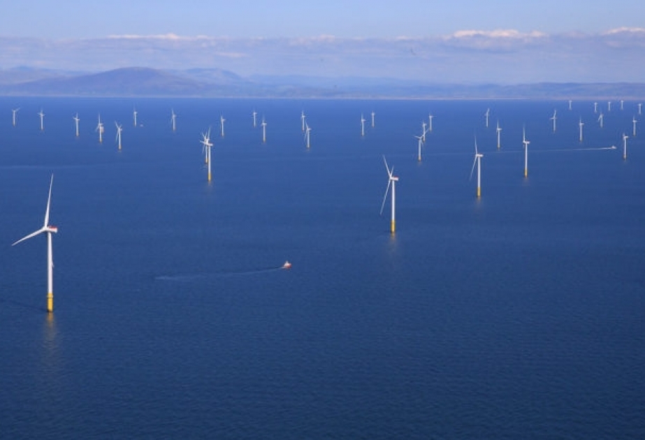 Норвежское правительство хочет развивать ветряную энергетику для устойчивого развития страны в будущем