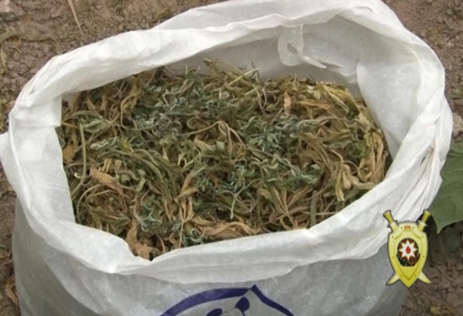Narkotik vasitələrin qanunsuz dövriyyəsinə qarşı mübarizə qətiyyətlə davam etdirilir