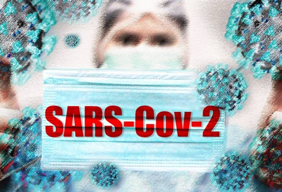 SARS-CoV-2 может оказаться гибридом двух разных вирусов