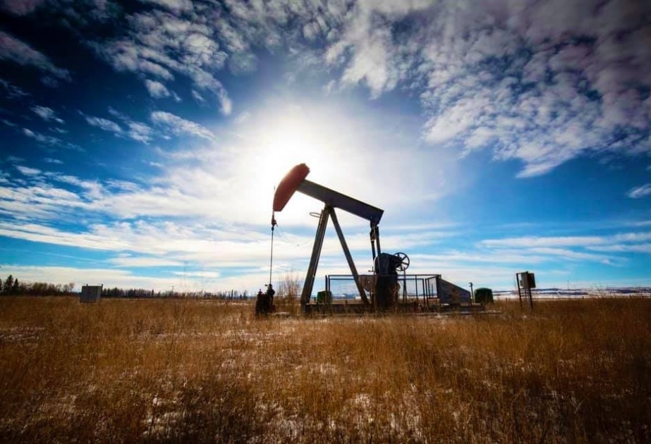 Oil prices fall on world markets