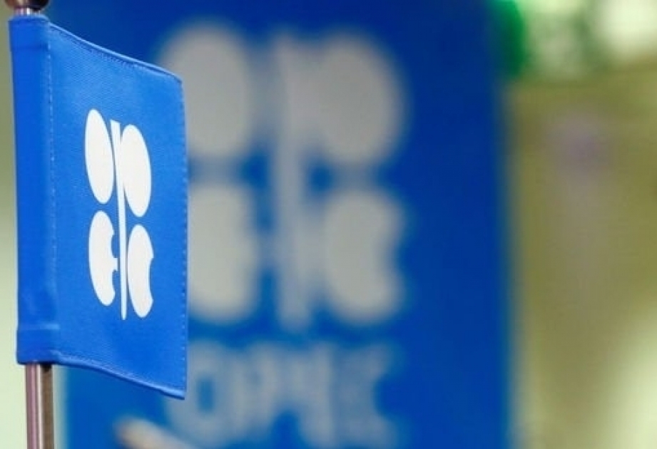 Opec will rasant fallenden Ölpreis wieder stabilisieren