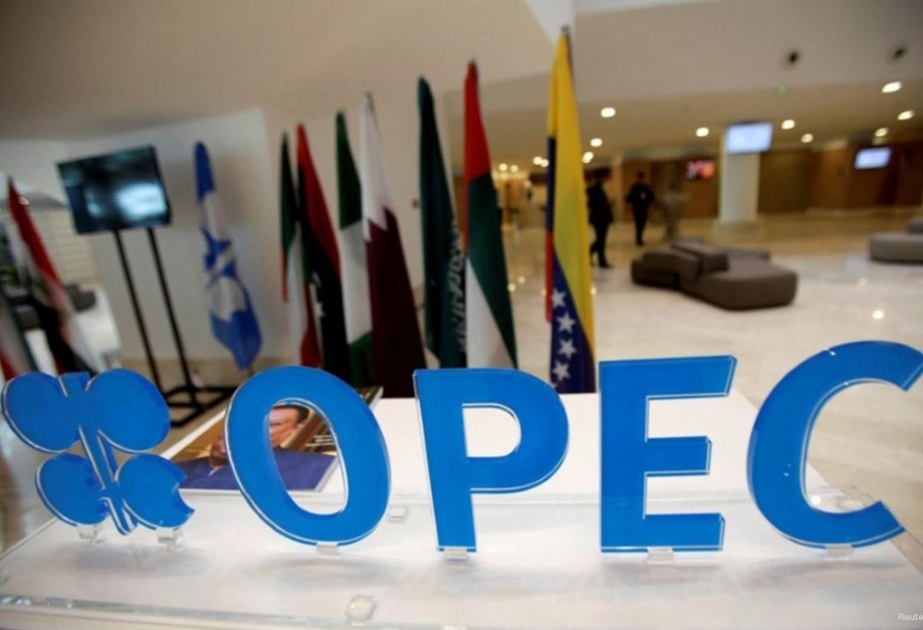 Azərbaycanın Energetika naziri “OPEC+” nazirlərinin iclasında iştirak edəcək
