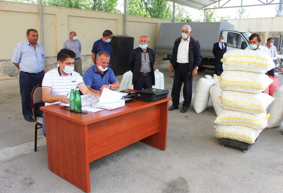 Tovuzda barama tədarükünə başlanılıb