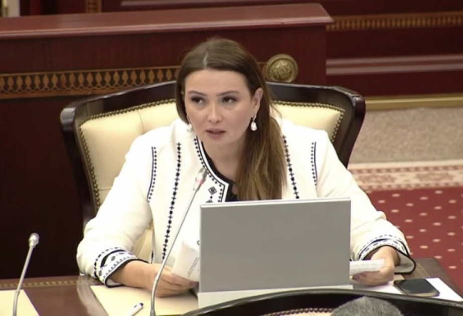 Deputat: Bizi istəməyən qüvvələrin apardığı mütəşəkkil anti-Azərbaycan kampaniyası ölkəmizi öz yolundan döndərə bilməyəcək