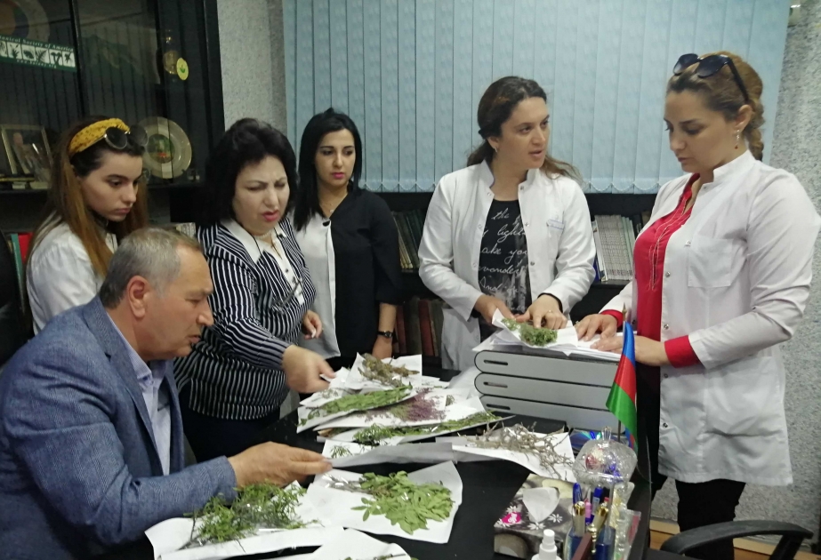 AMEA-nın Dendrologiya İnstitutu Korçay Dövlət Təbiət Qoruğu ilə əməkdaşlıq edəcək