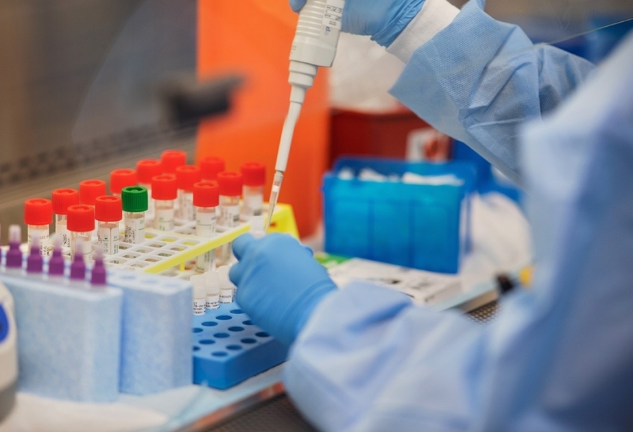 Se ha anunciado el número de pruebas de coronavirus realizadas en Azerbaiyán