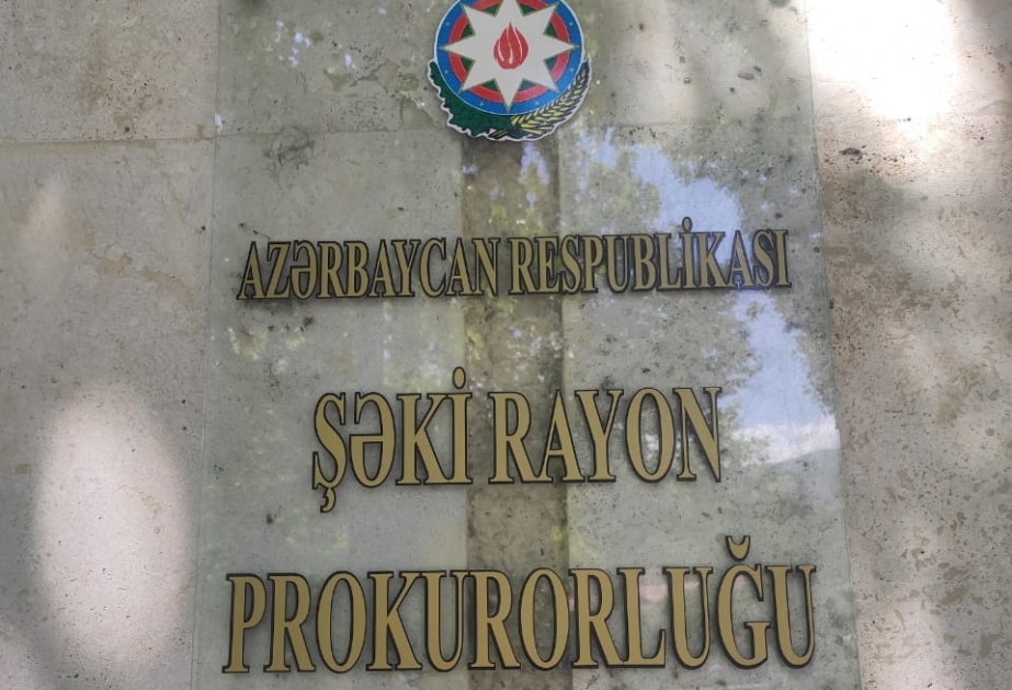Şəkidə ağac kəsənlərlə bağlı prokurorluqda cinayət işi başlanıb