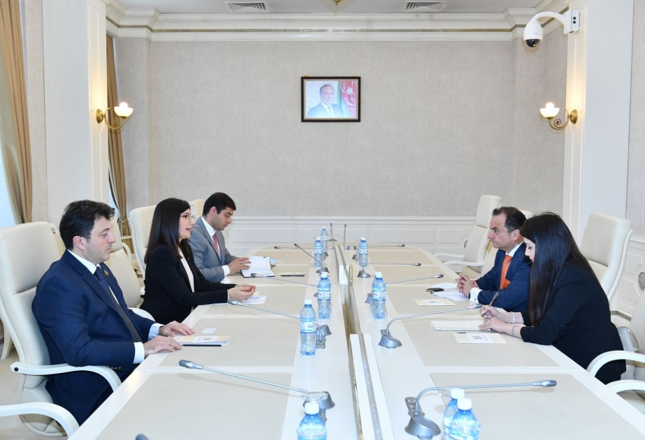 Encargado de Negocios de España en Azerbaiyán se reúne con representantes del Grupo de Trabajo Interparlamentario azerbaiyano-español
