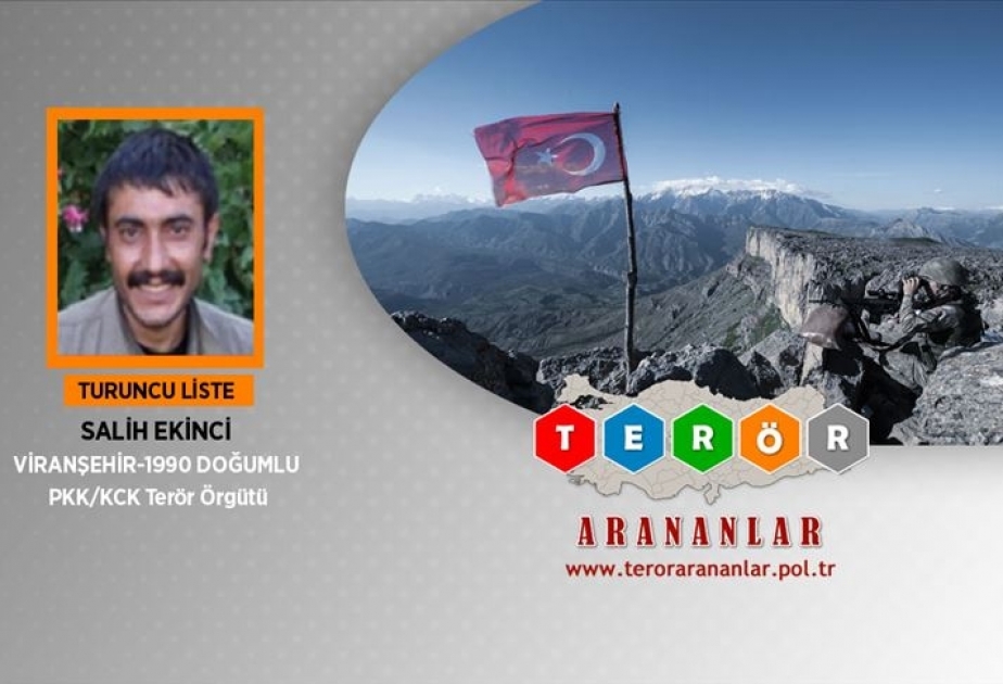 Türkiyədə axtarışda olan daha bir terrorçu zərərsizləşdirilib