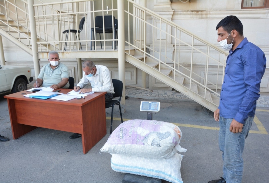Tərtərli kümçülər bu günədək 2711 kiloqram barama tədarük ediblər