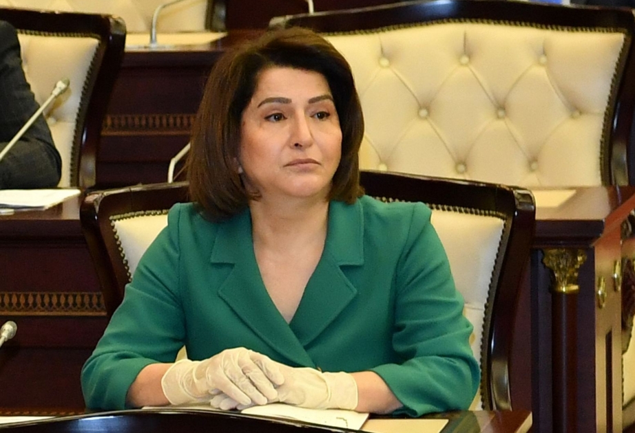 Deputat: Koronavirusla mübarizədə həmrəylik göstərməli, bütün məsuliyyətimizlə dövlətimizin yanında olmalıyıq
