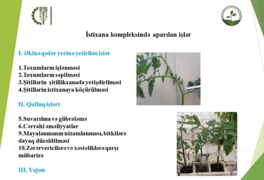 Tərəvəzçilik Elmi-Tədqiqat İnstitutunda onlayn elmi-praktik konfrans keçirilib