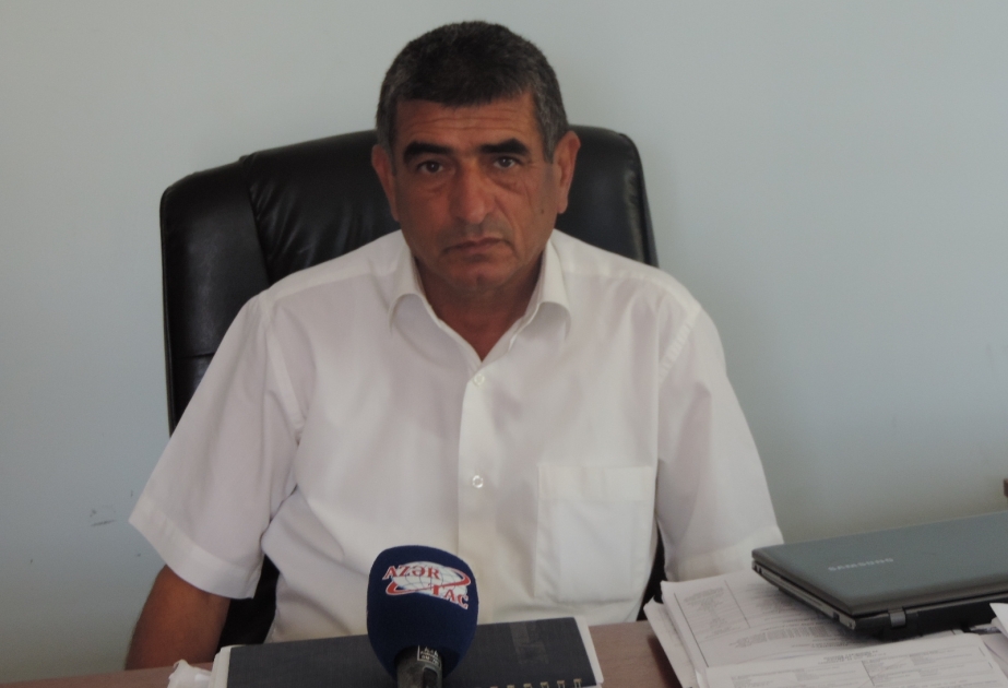 Dəmyə şəraitində əkinlə məşğul olan taxılçılar nəyi bilməlidirlər? – mütəxəssis tövsiyəsi