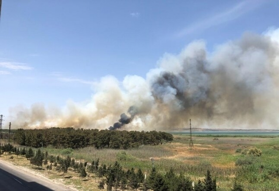 Близ Джейранбатанского водохранилища вновь произошел пожар