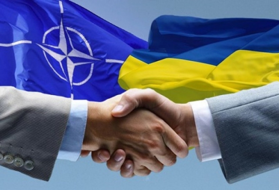 Украина получила статус партнера НАТО с расширенными возможностями