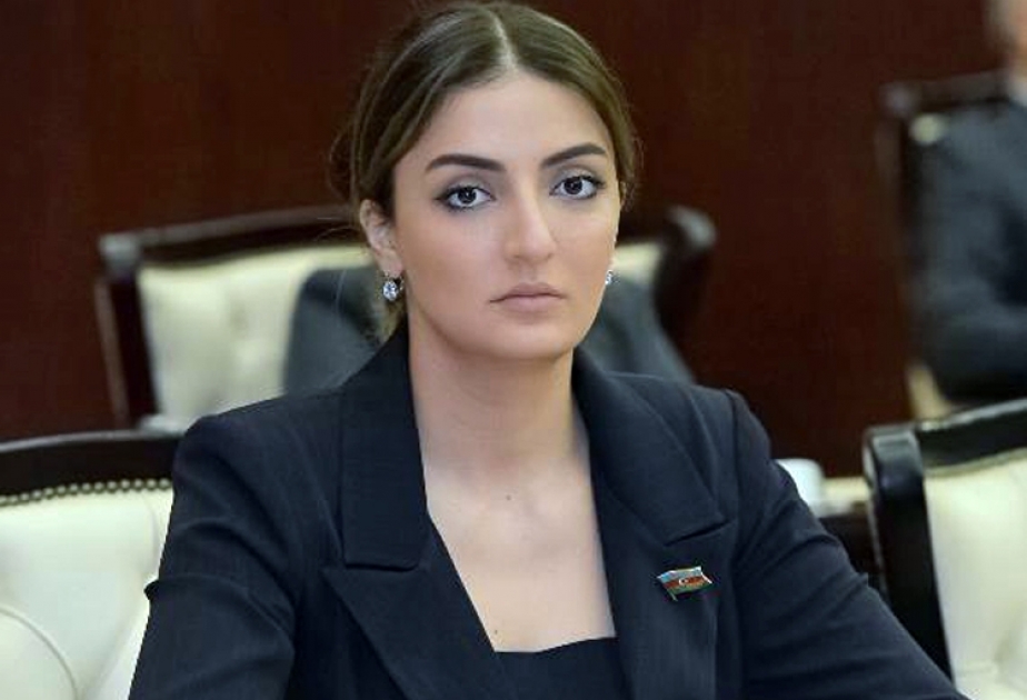 Deputat: İşğalçı Ermənistan Avropa Parlamentinin xəbərdarlığından nəticə çıxarmalıdır