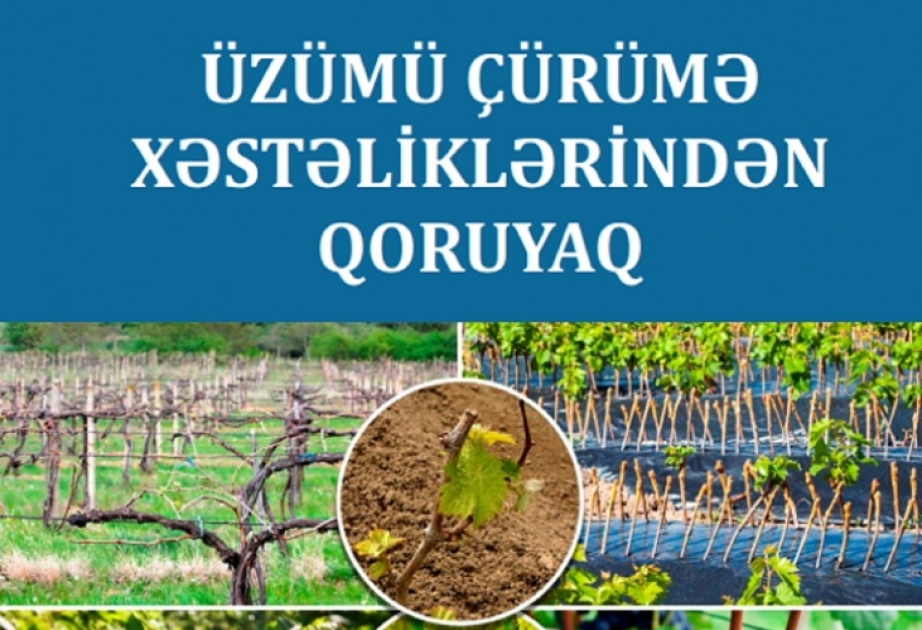 Fermerlər üçün yeni elmi-metodiki vəsaitlər nəşr olunub