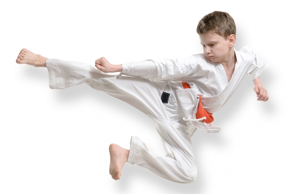 Karate üzrə onlayn beynəlxalq turnir keçiriləcək