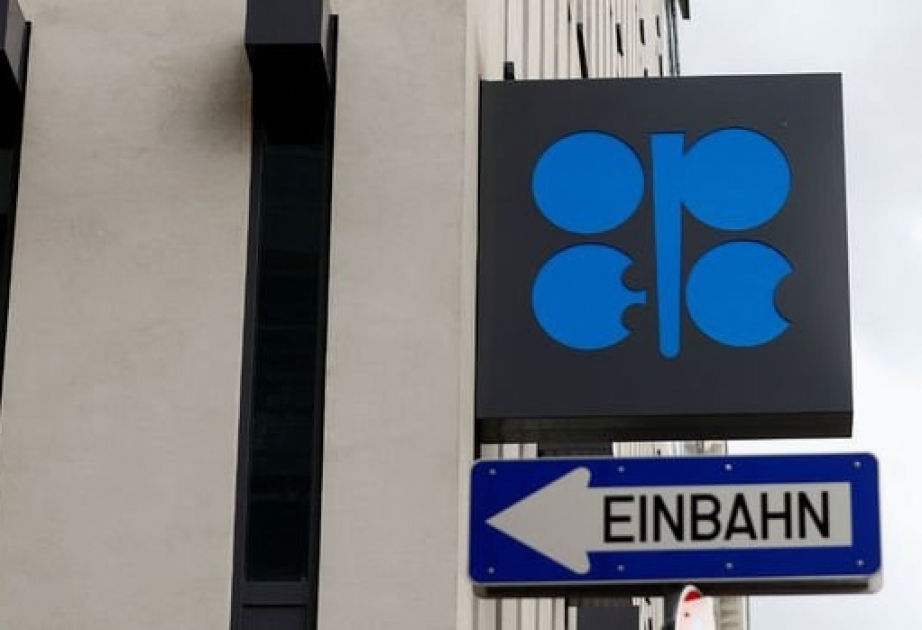Mayda OPEC-in neft hasilatı azalıb