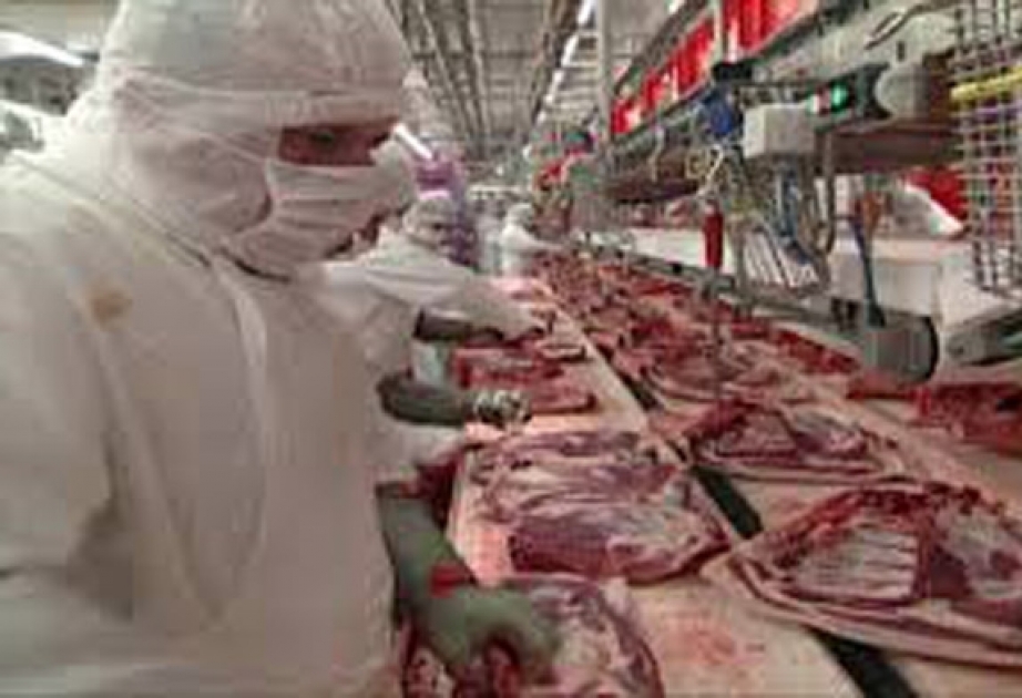 Сотни работников мясокомбината в Германии заражены