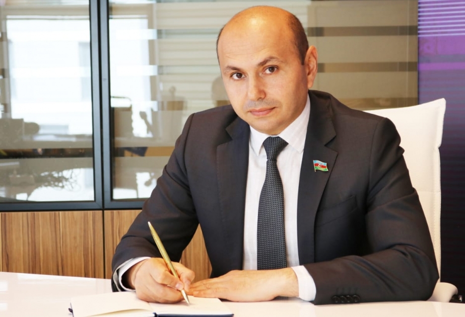 Beynəlxalq təşkilatlar Ermənistandakı vəziyyəti düzgün qiymətləndirməli, oradakı hakimiyyətin əsl mahiyyətini dərk etməlidirlər