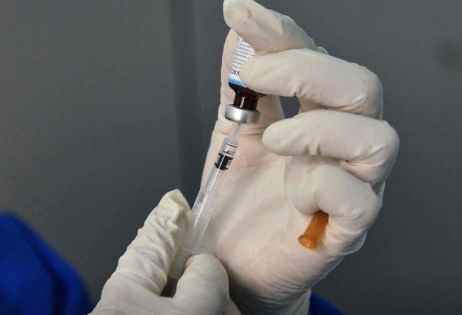 WHO hopes for hundreds of millions of vaccine doses this year, 2 billion next year