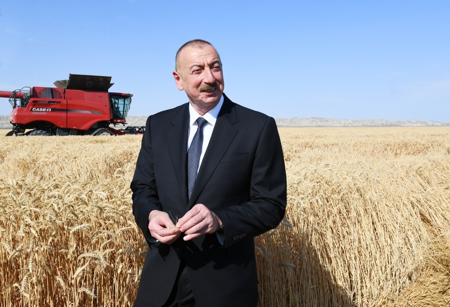 President Ilham Aliyev viewed activities of agropark owned by Agro Dairy LLC in Samukh VIDEO