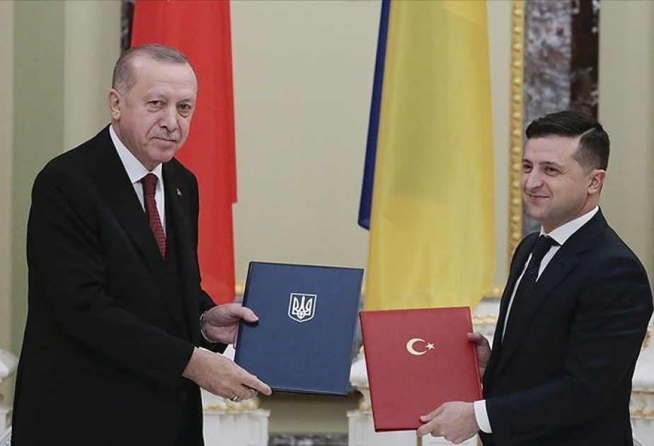 Erdoğan, Zelensky discuss COVID-19 fight in phone call
