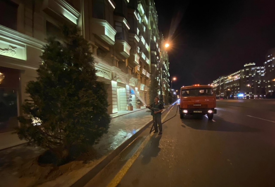 İsti yay günlərində paytaxtda yaşıllıqlara gecələr qulluq göstərilir?