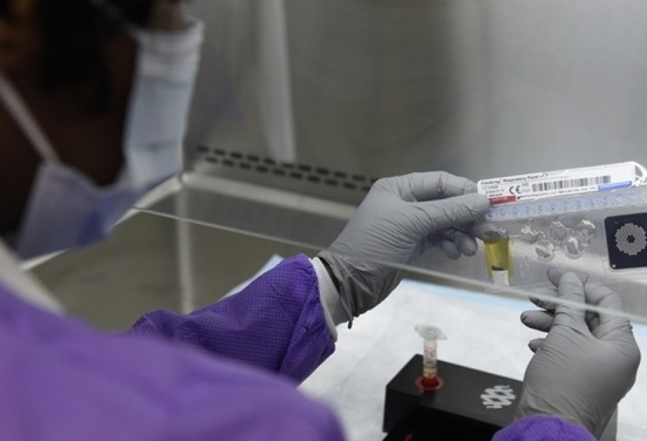 Egypt's coronavirus cases top 60,000; death toll rises to 2,533