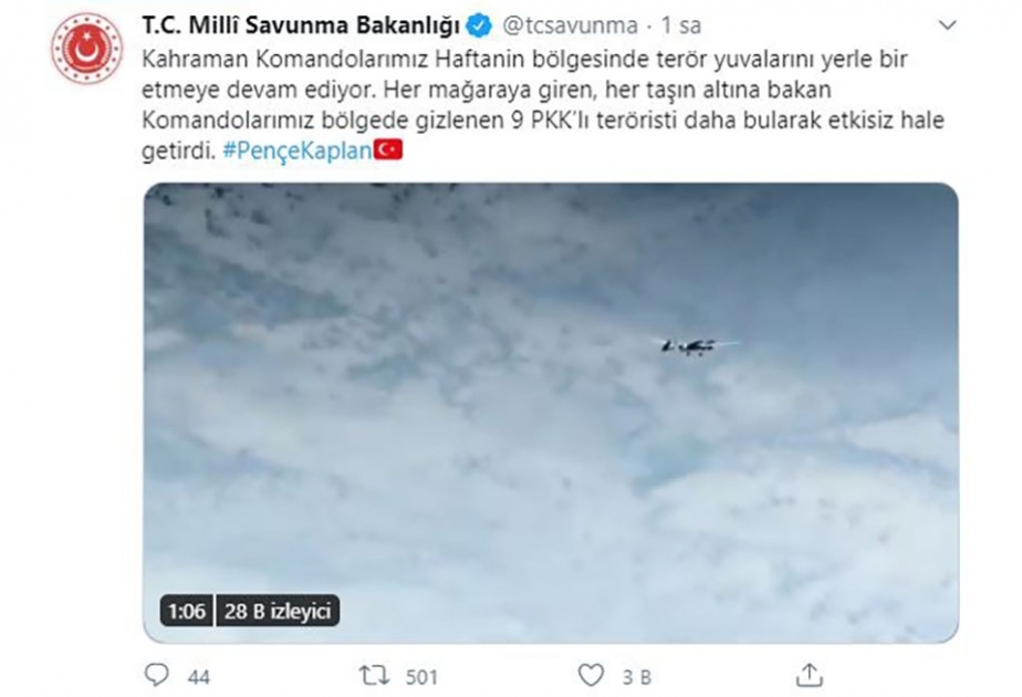 İraqın şimalında və Türkiyədə 12 terrorçu zərəsizləşdirilib