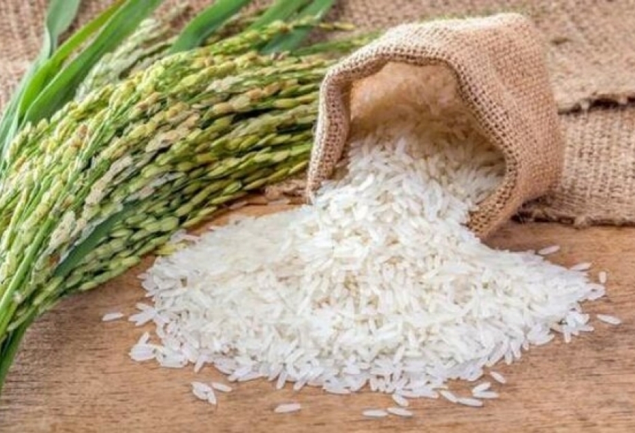 Azerbaiyán aumenta la importación de arroz