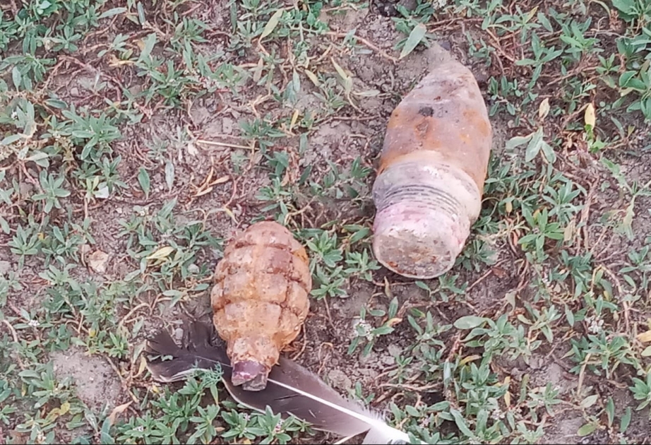 Ağstafada əl qumbarası aşkarlanıb