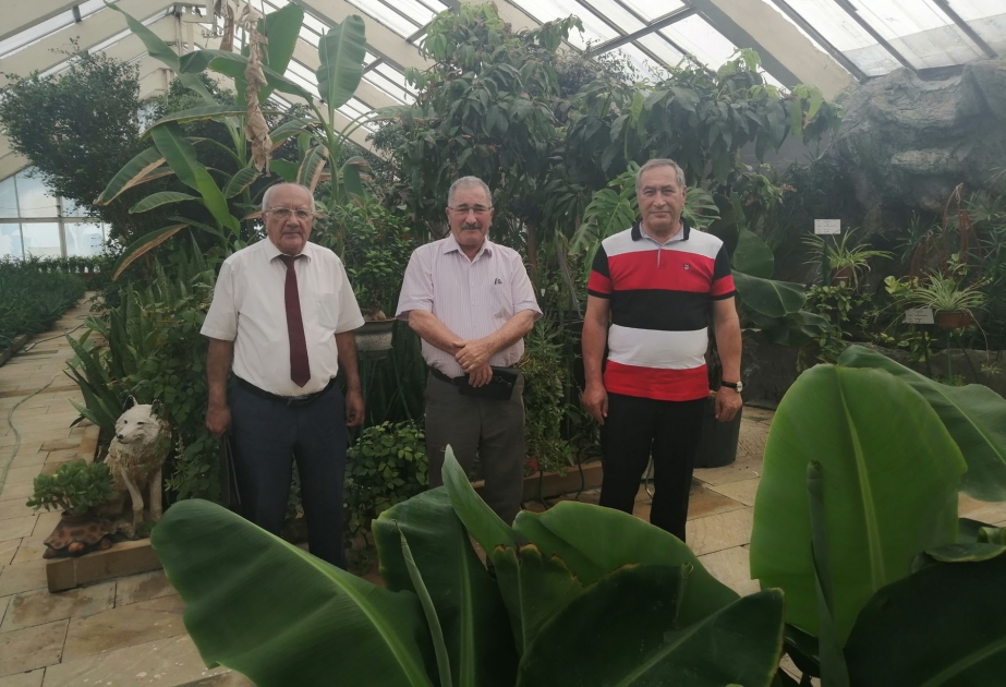 AMEA-nın Torpaqşünaslıq və Aqrokimya ilə Dendrologiya institutları birgə tədqiqatlar aparacaq