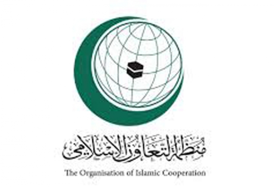 "التعاون الإسلامي" تدعو إلى استئناف المفاوضات حول سد النهضة الإثيوبي