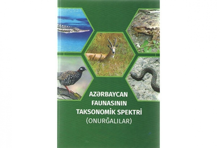 “Azərbaycan faunasının taksonomik spektri (onurğalılar)” kitabı nəşr olunub