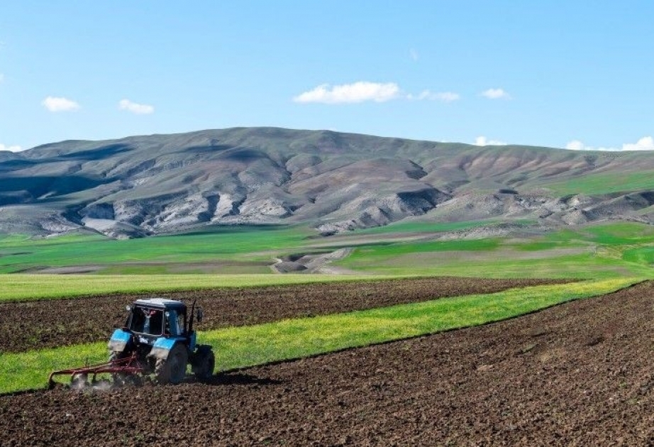 Ministerio de Agricultura de Azerbaiyán pagó subsidios a más de 30.000 agricultores