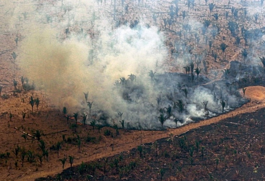 Im brasilianischen Regenwald wüten so viele Feuer wie seit 13 Jahren nicht mehr