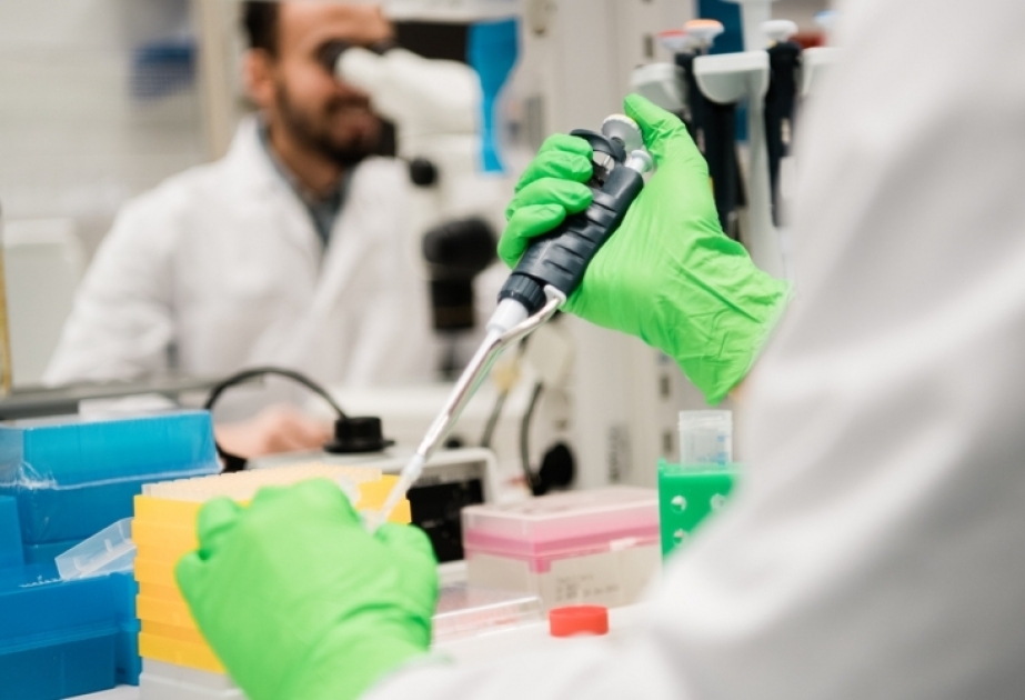 Датская биотехнологическая компания начинает испытания на людях нового препарата для лечения коронавируса COVID-19