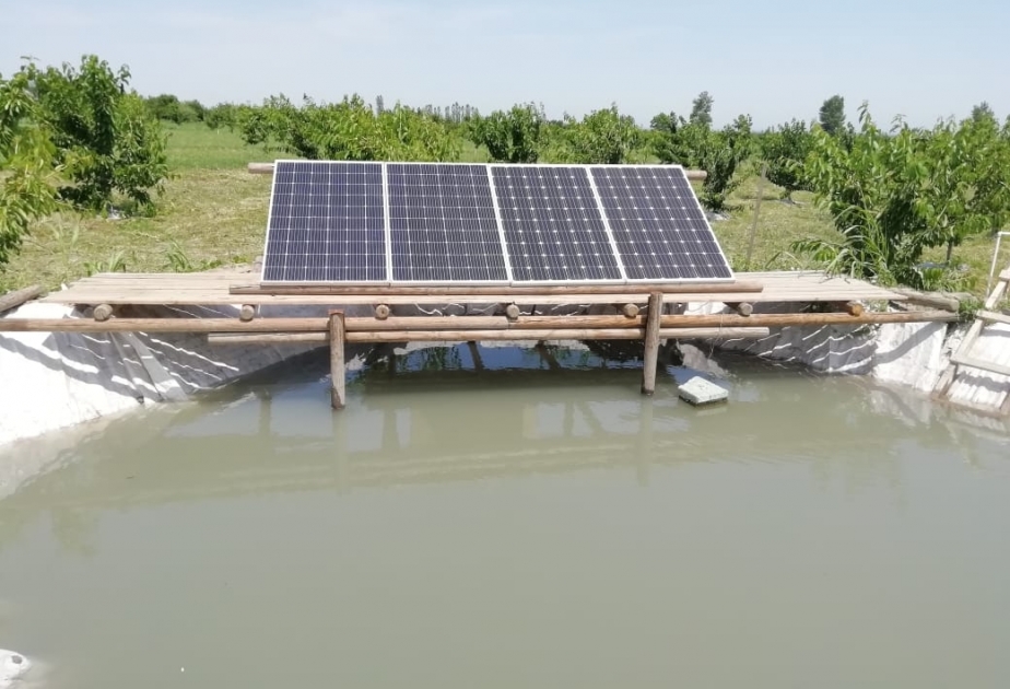 Qusarlı fermer meyvə bağının suvarılmasında alternativ enerjidən istifadə edir VİDEO