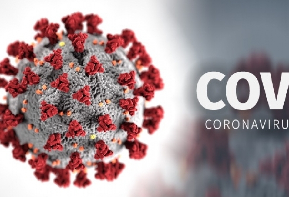 Zahl der Corona-Tote in Armenien auf 491 gestiegen