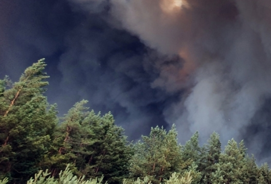 Mindestens sechs Tote bei Waldbrand im Osten der Ukraine
